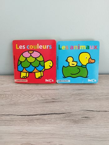 Lot de 2 livres a rabats 