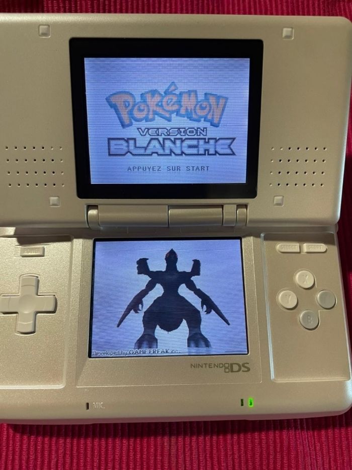 NDS Fat avec r4 - photo numéro 3