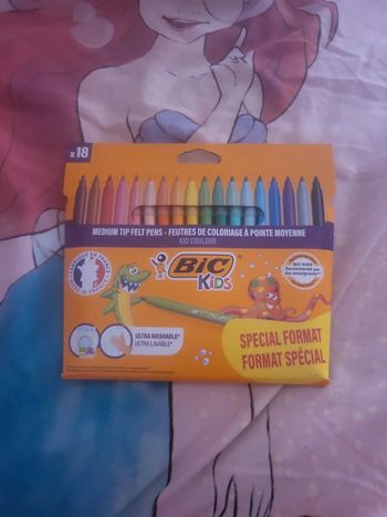 Feutres bic x18