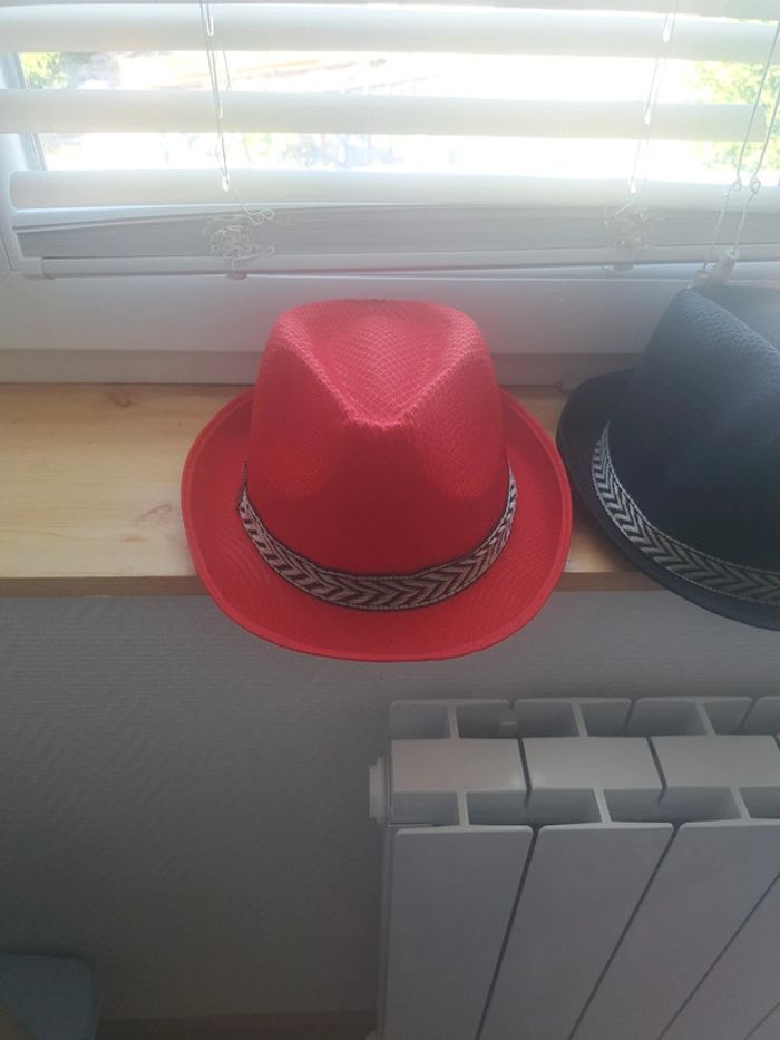 Chapeaux adulte - photo numéro 2