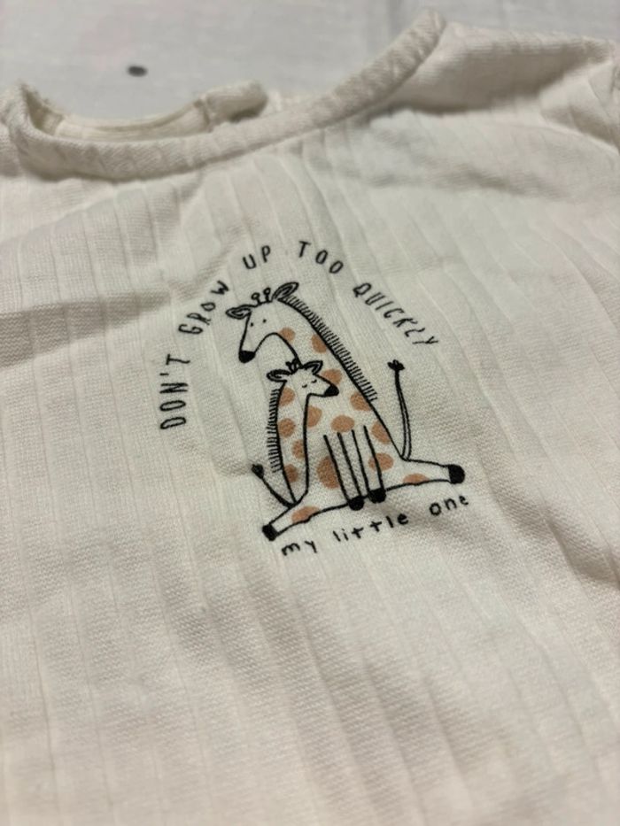 Ensemble - photo numéro 2