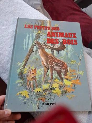 Magnifique livre pour jeune enfant sur les Animaux de la foret