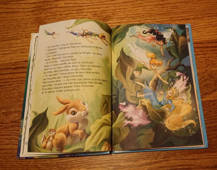 Livre les fées - photo numéro 5