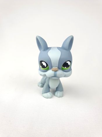 Littlest Petshop LPS Chien Boston Terrier #857