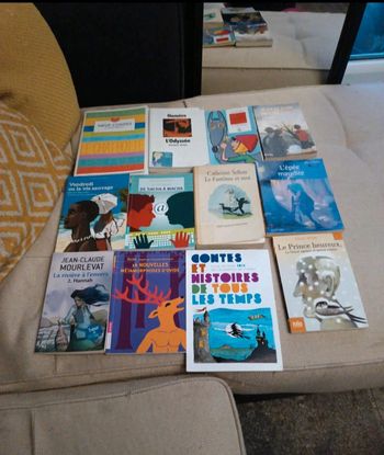 Lot de 12 romans jeunesse