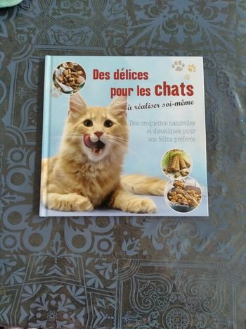 Livre chats