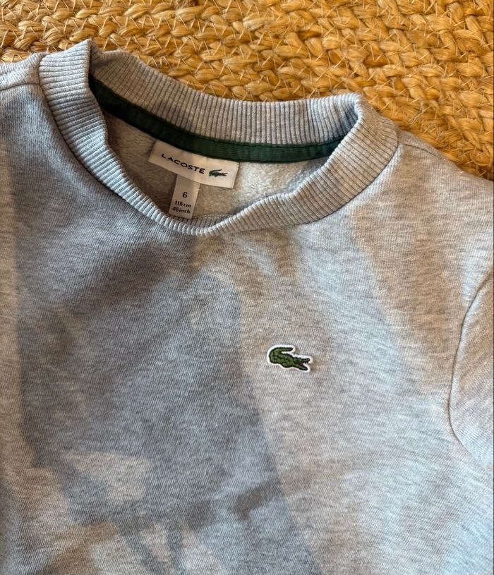 Sweat Lacoste - photo numéro 3