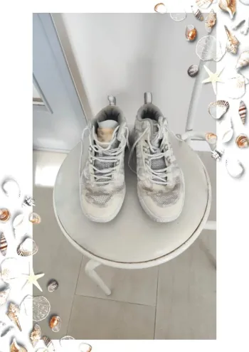 Baskets tarmak grise et blanche 40