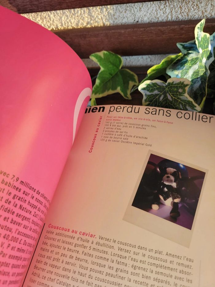 Livre de recette "Mon chien fait recette" - photo numéro 6