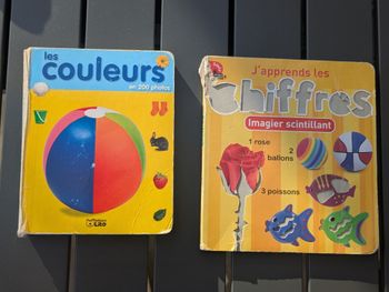 Lot 2 livres bébé enfant chiffres/couleurs