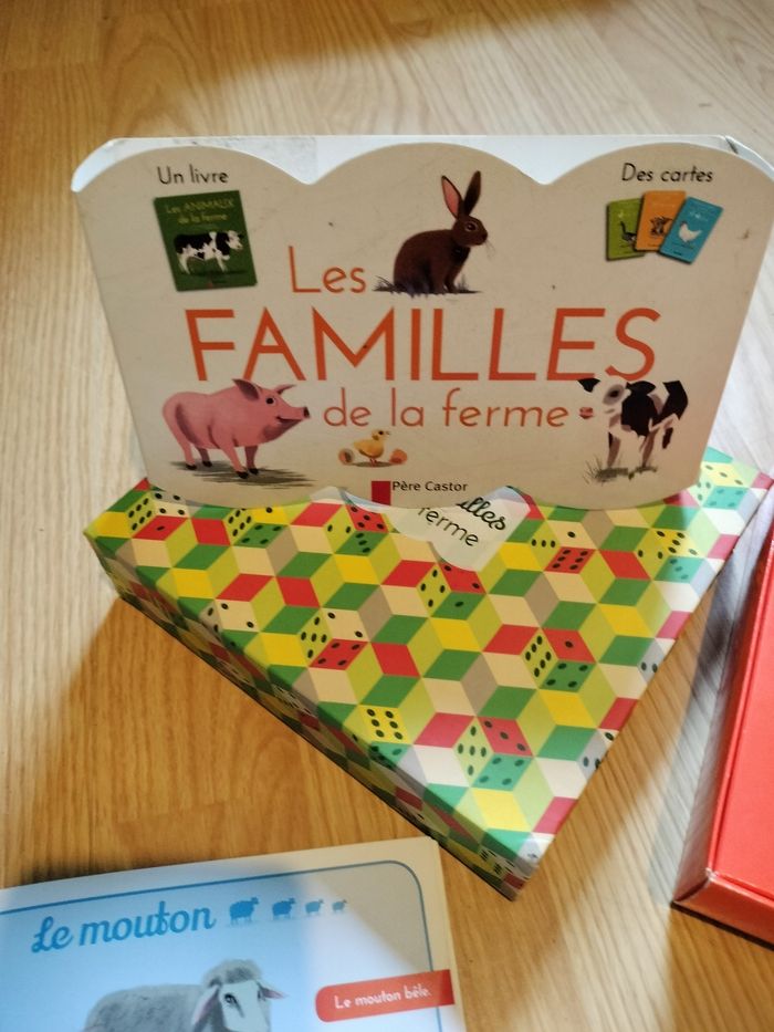Jeux des familles - photo numéro 2