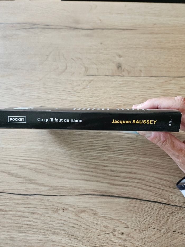 Ce qu'il faut de haineux Jacques Saussey - photo numéro 4