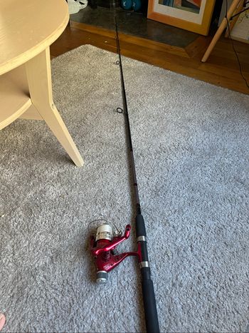 Canne à pêche avec moulinet  Mitchell
