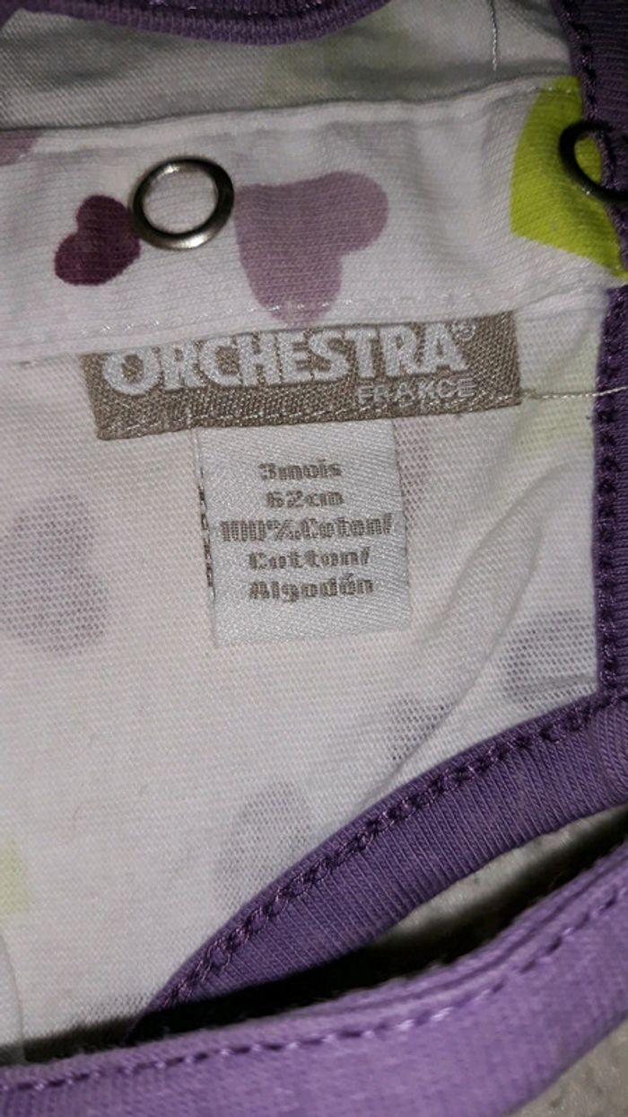 Combishort 3 mois orchestra - photo numéro 3