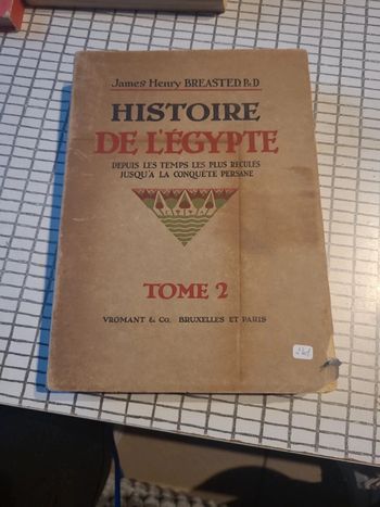 Histoire de l'égypte. Depuis les temps les plus reculés jusqu'à la conquête persane tome 2