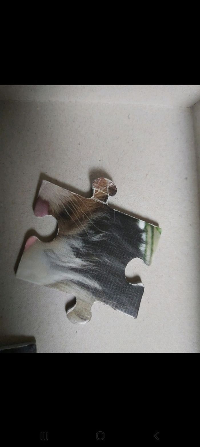 Chiens puzzle - photo numéro 3