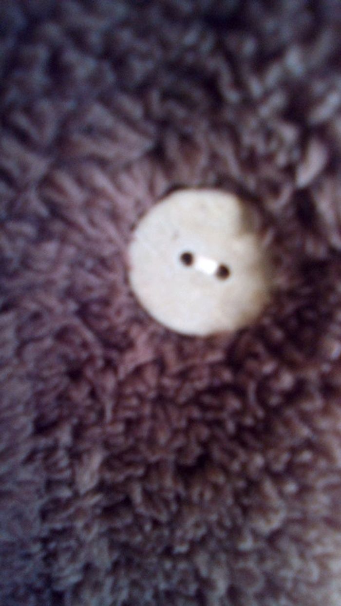 Gilet chocolat à capuche neuf - photo numéro 7