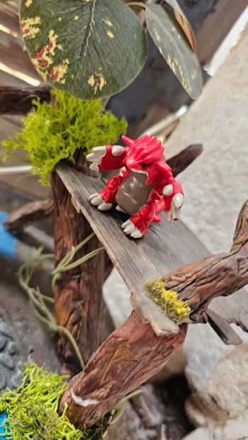 Super figurine Pokemon Nintendo groudon