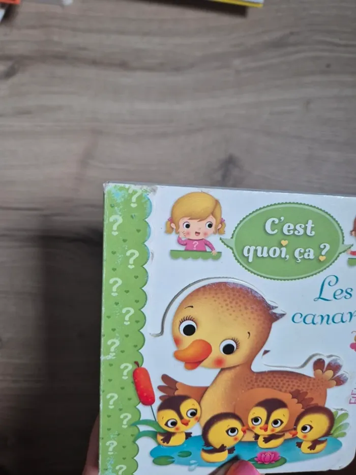Livre C’est quoi ça - photo numéro 3
