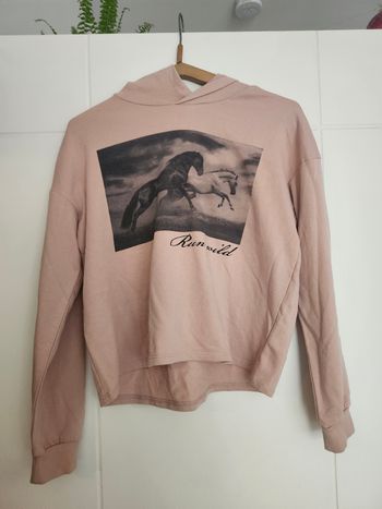 Pull à capuche H&M