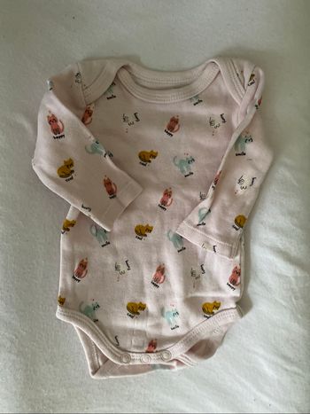 Bodie rose ml