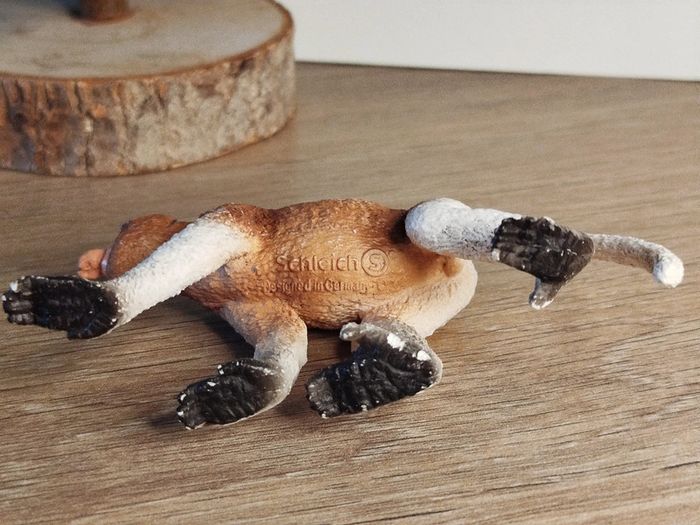 Schleich figurine singe Nasique Animal de la savane - photo numéro 4