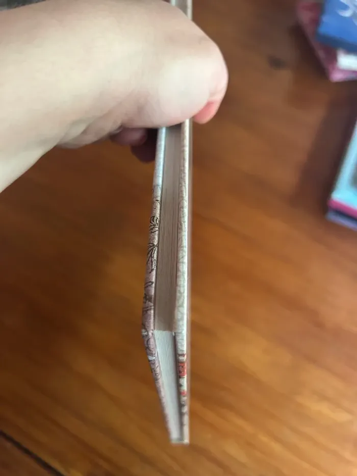 Lot de livres princesses - photo numéro 5