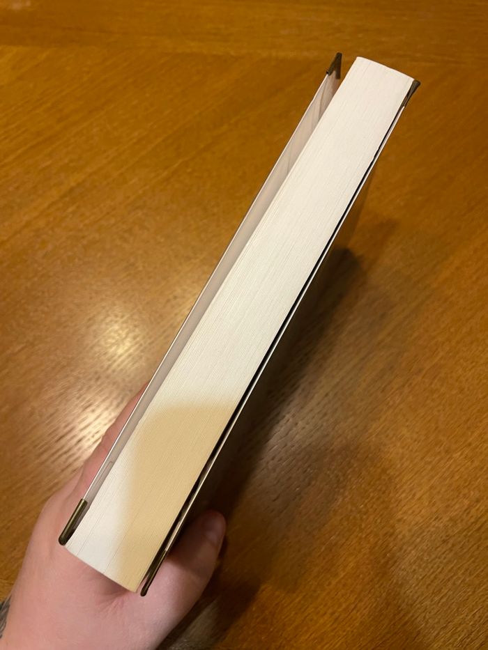 Le buste de bronze - photo numéro 4