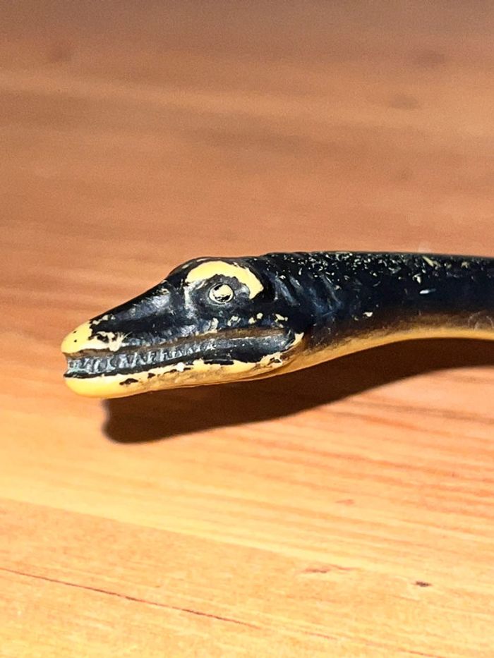 Elasmosaurus - photo numéro 6