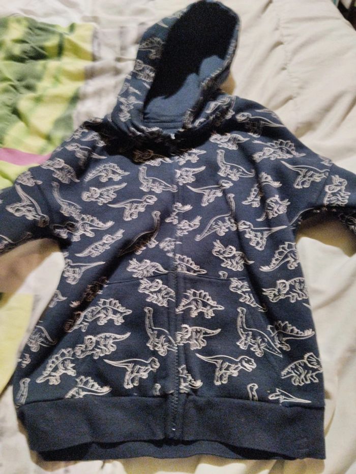 Veste dinosaure - photo numéro 3