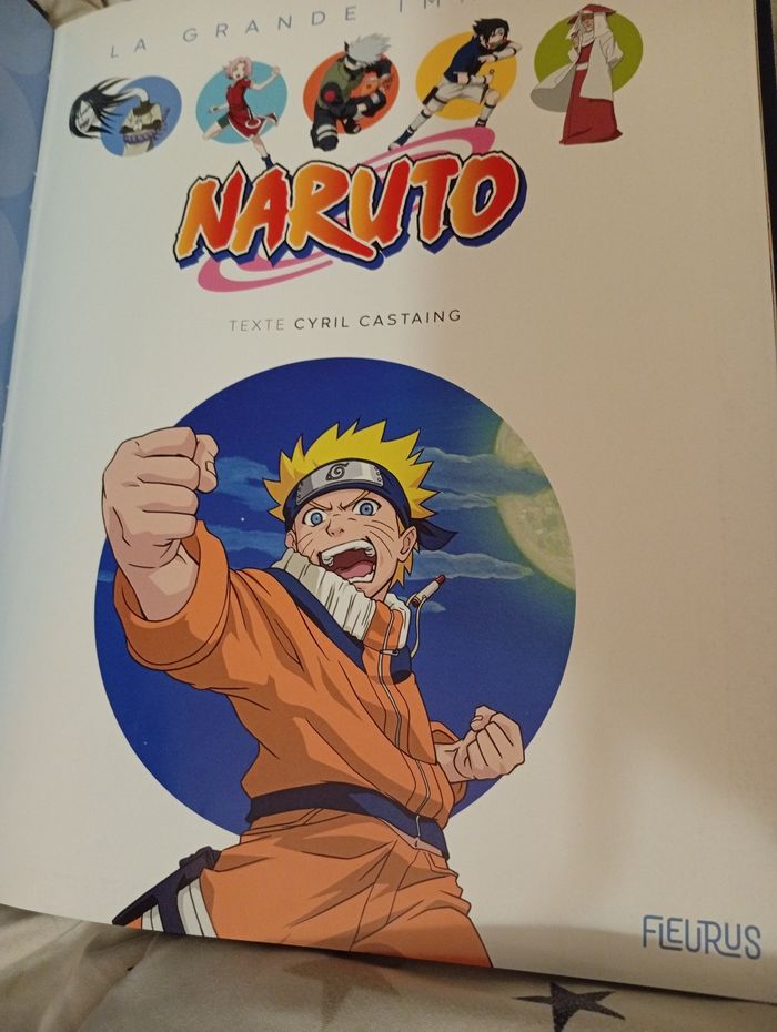 La grande imagerie Naruto - photo numéro 5