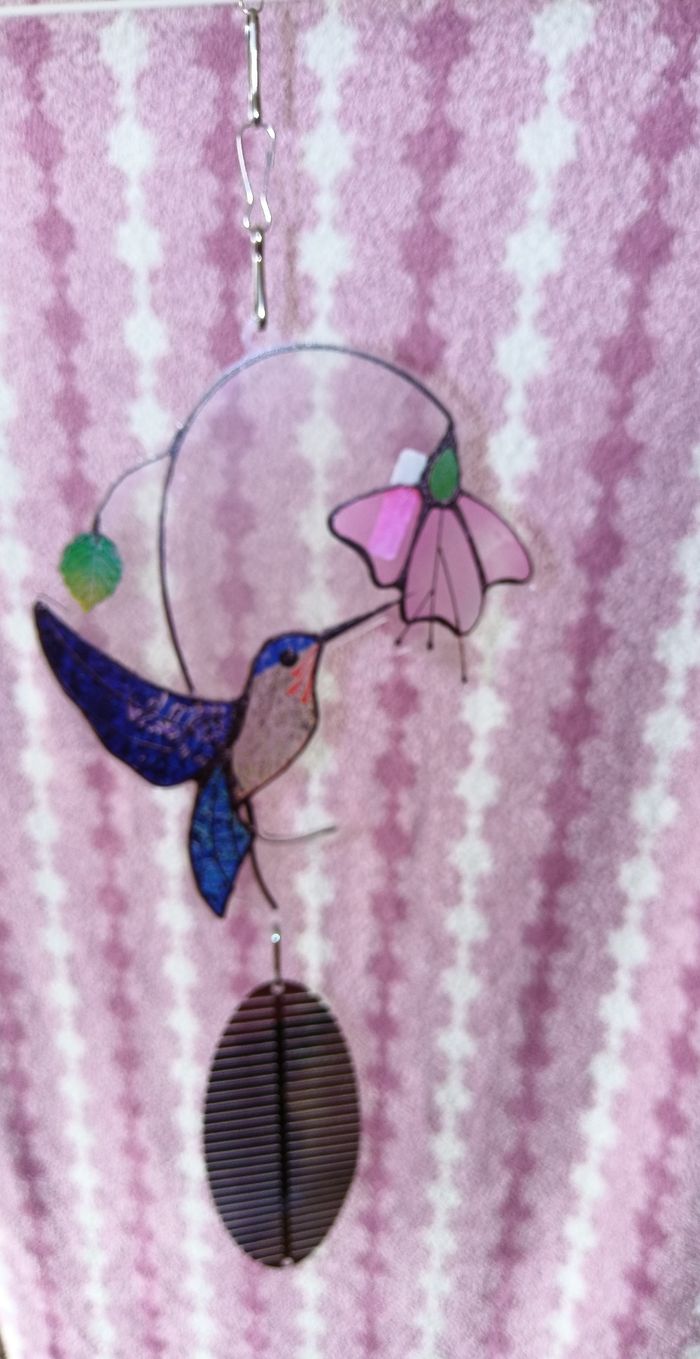 Attrape soleil colibri