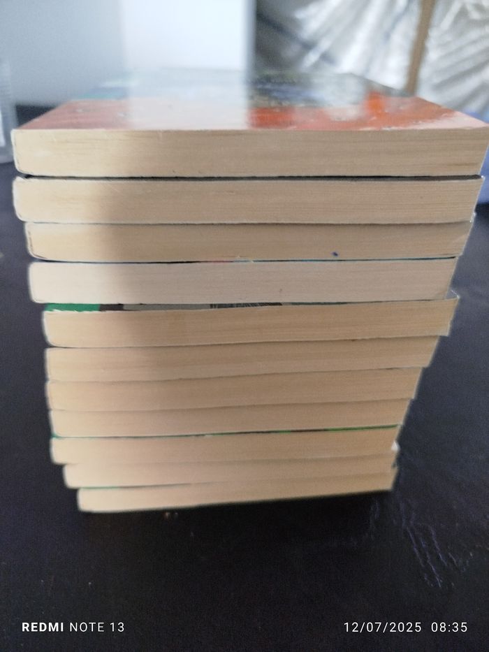 Lot 11 livres chair de poule - photo numéro 2