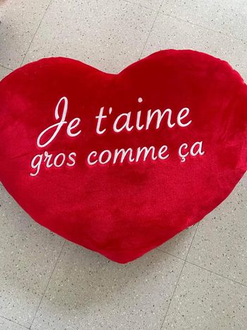 Peluche gros cœur