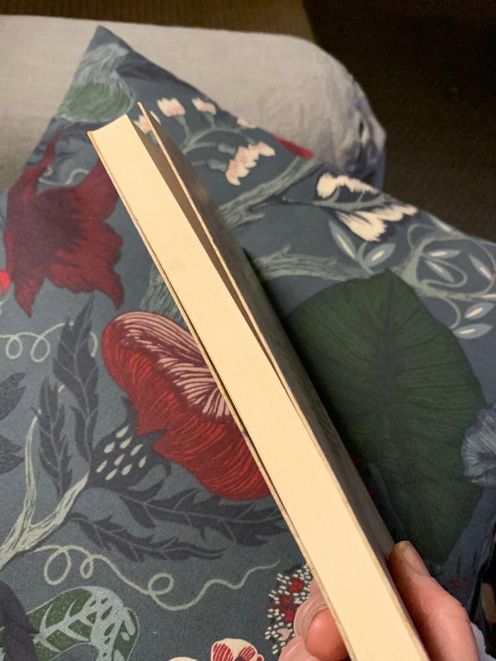 Migrateur - photo numéro 4