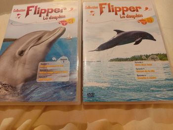 DVD Flipper le dauphin
