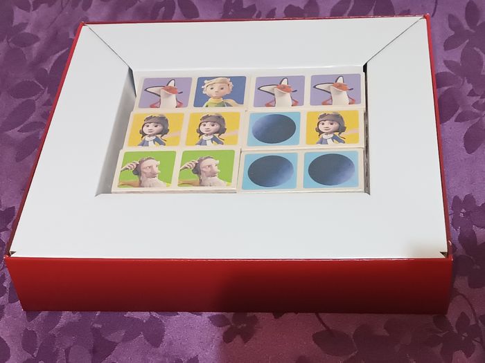 Domino the  Litte Prince - photo numéro 7