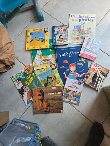 Lot 11 livres  #orianabllivre