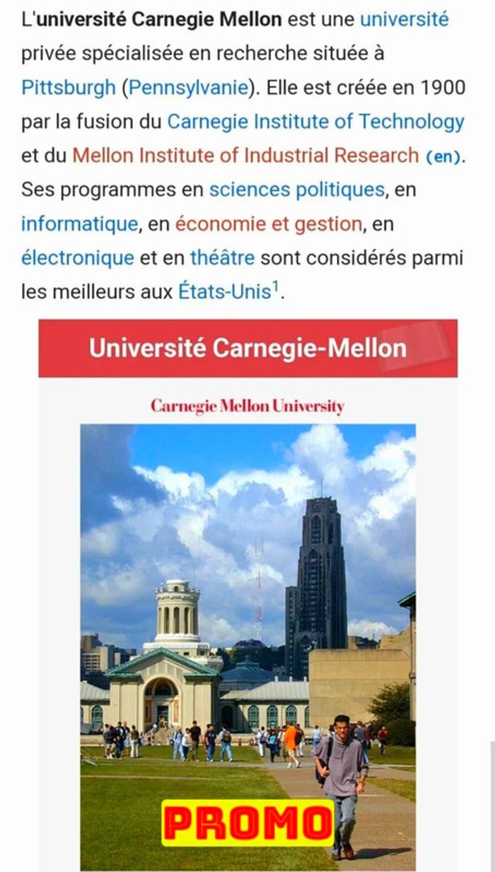 Magnifique sweat à capuche Universitaire Jansport taille M - photo numéro 5