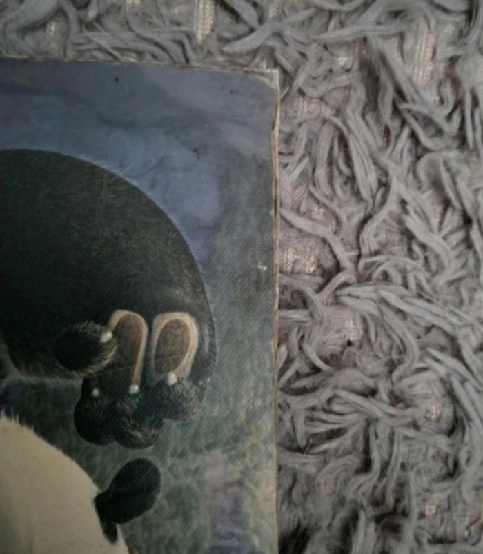 Grand tableau Kung fu panda (po et tigresse) - photo numéro 6