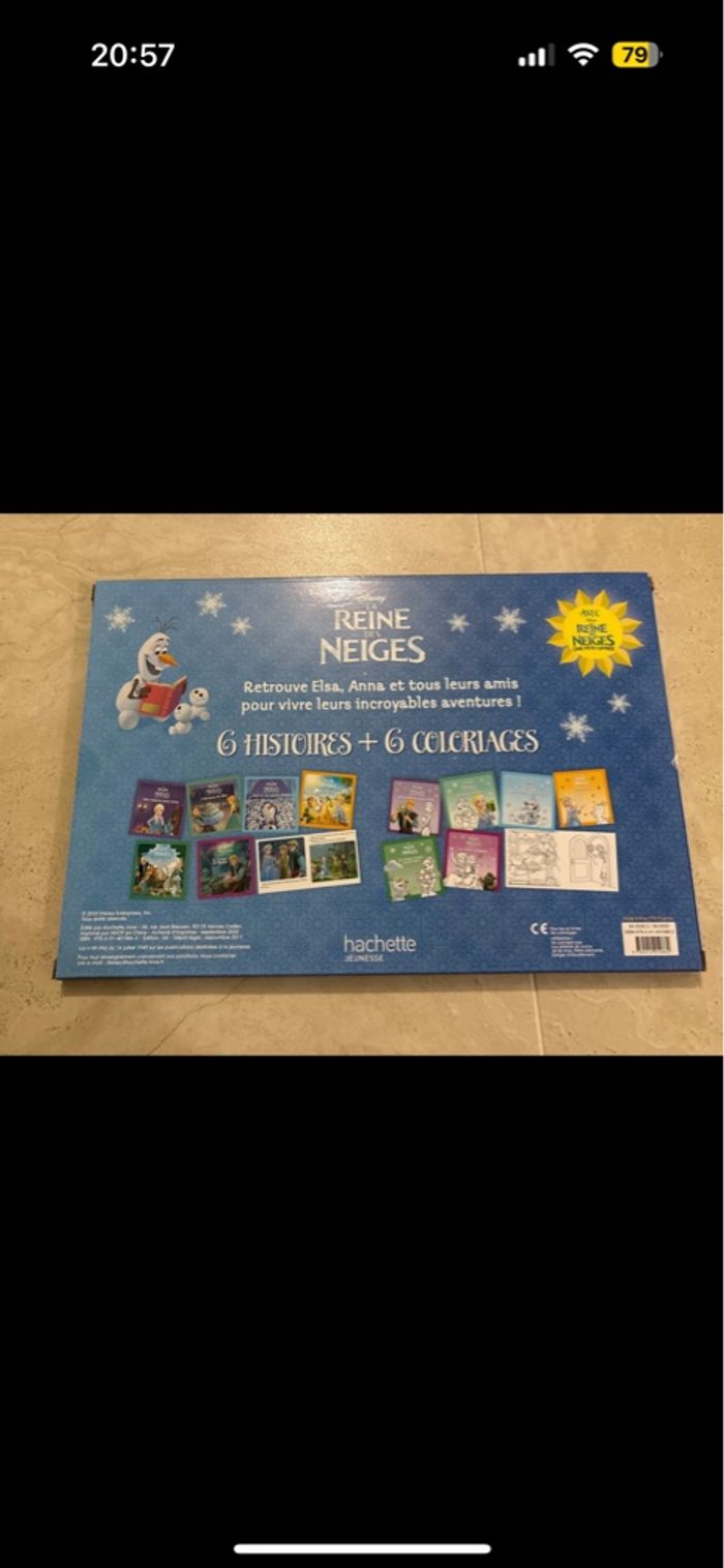 La reine des neiges - photo numéro 2