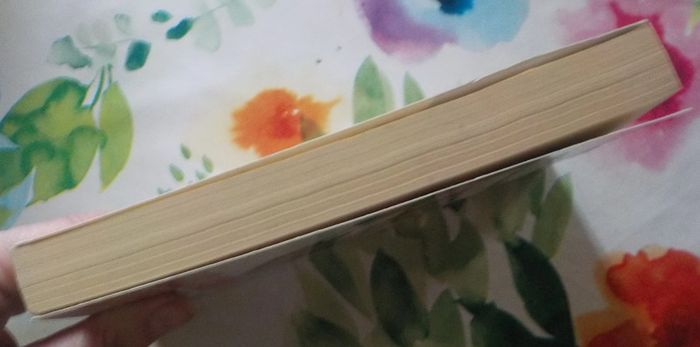 Dude, where's my country ? par Michael Moore Ed. Penguin Books - photo numéro 4