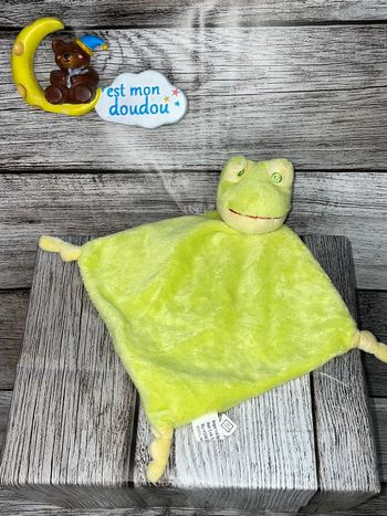 DIV77 doudou grenouille 🐸 FL bv