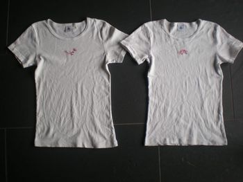 2 tee-shirts fille Petit Bateau 12 ans