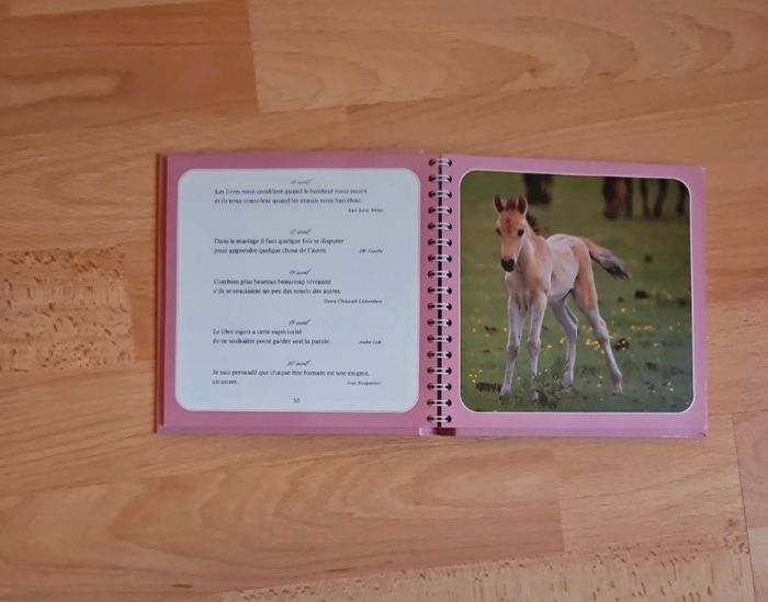 Livre le mot du jour - photo numéro 3