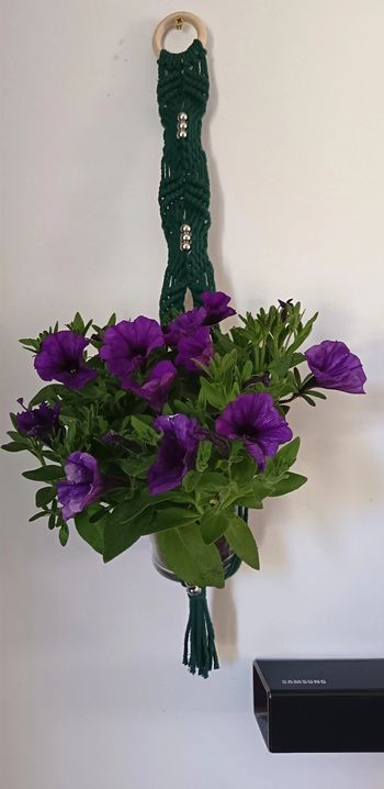 Suspension pour plantes intérieur en macramé artisanale 