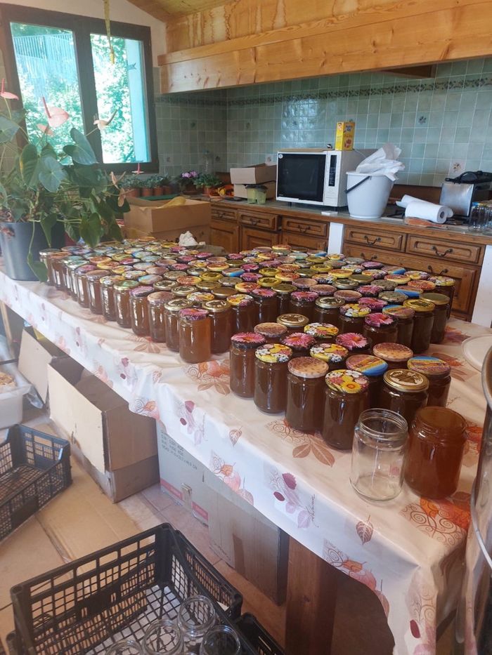 Miel naturel de sapin - photo numéro 8