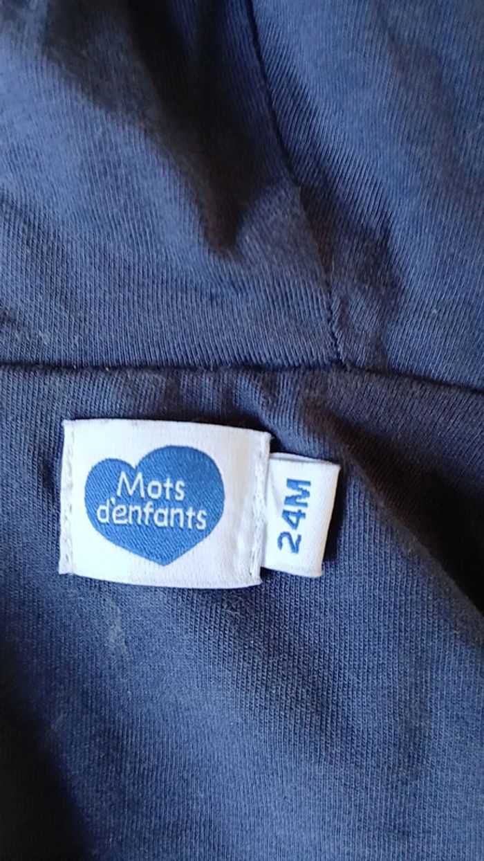 Veste - photo numéro 3