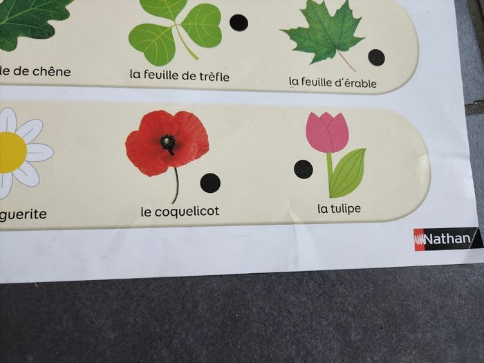 Baby electro mon imagier - photo numéro 3