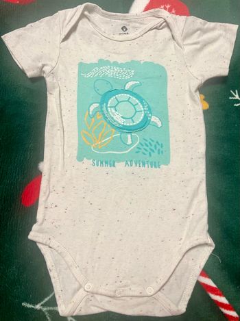 Bodie tortue grain de blé